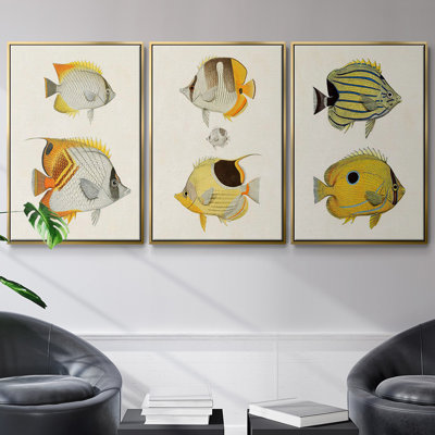 " Yellow and Grey Fish I " 3 Piece Art Print