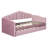 Twin size Upholstered Daybed with Trundle-117814742