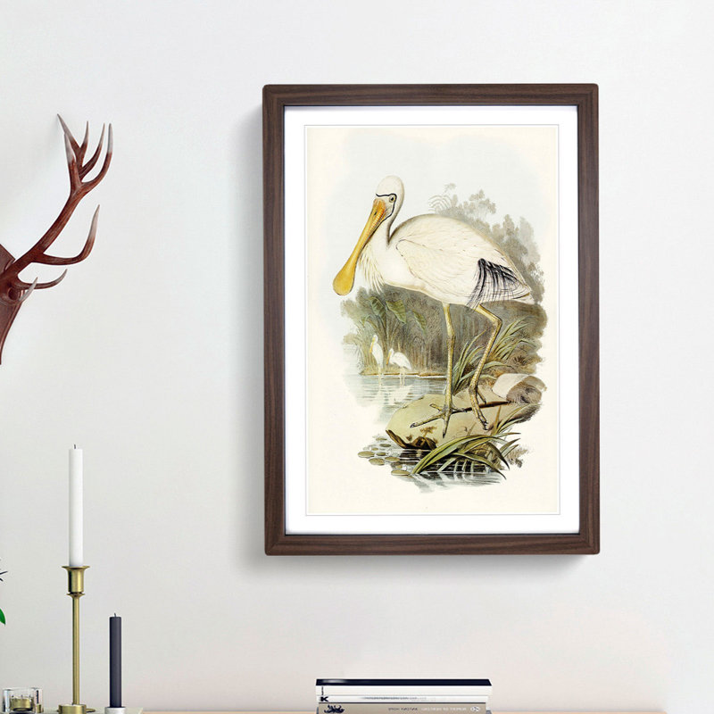 Yellow-Legged Spoonbills by Elizabeth Gould - Picture Frame Art Print, 36cm H x 27cm W x 2cm D, Walnut Framed