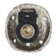 Sonnette Sand Dollar-17649912