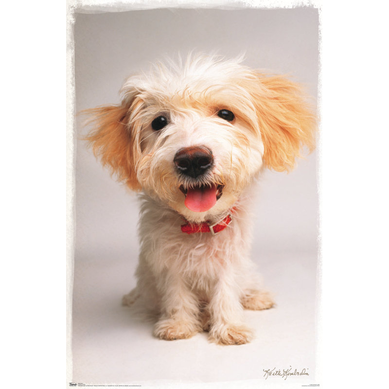 Impression sur papier kimberlin-chiot
