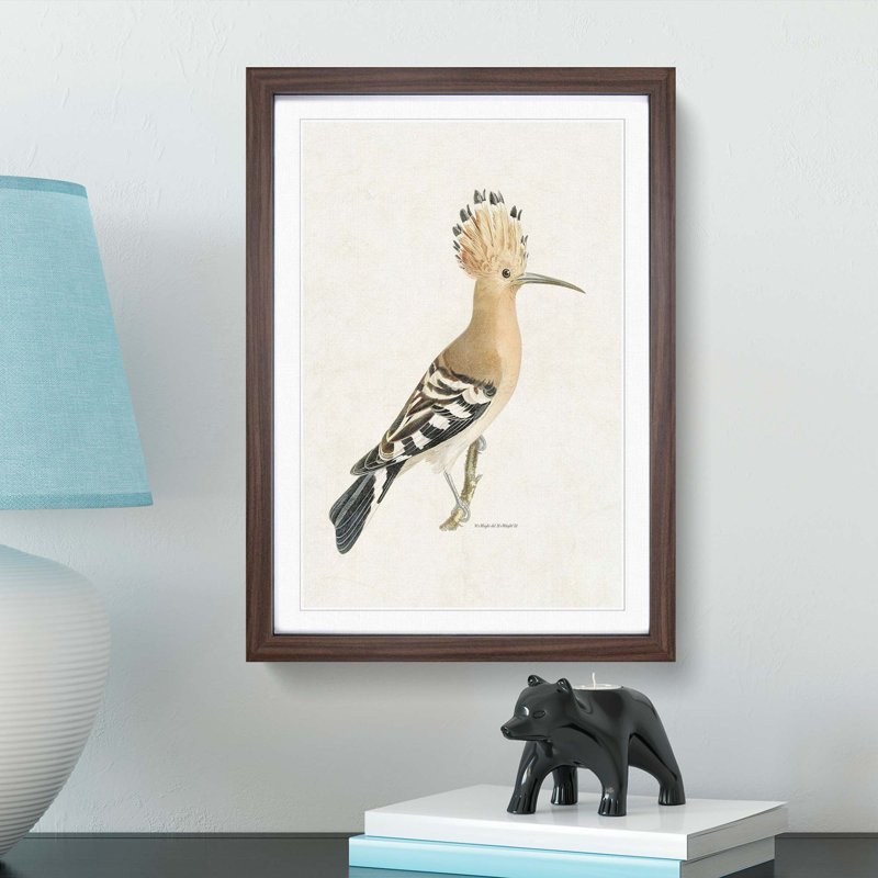 Hoopoes Bird by Von Wright - Picture Frame Painting Print on MDF, Walnut Framed, 48cm H x 36cm W x 2cm D