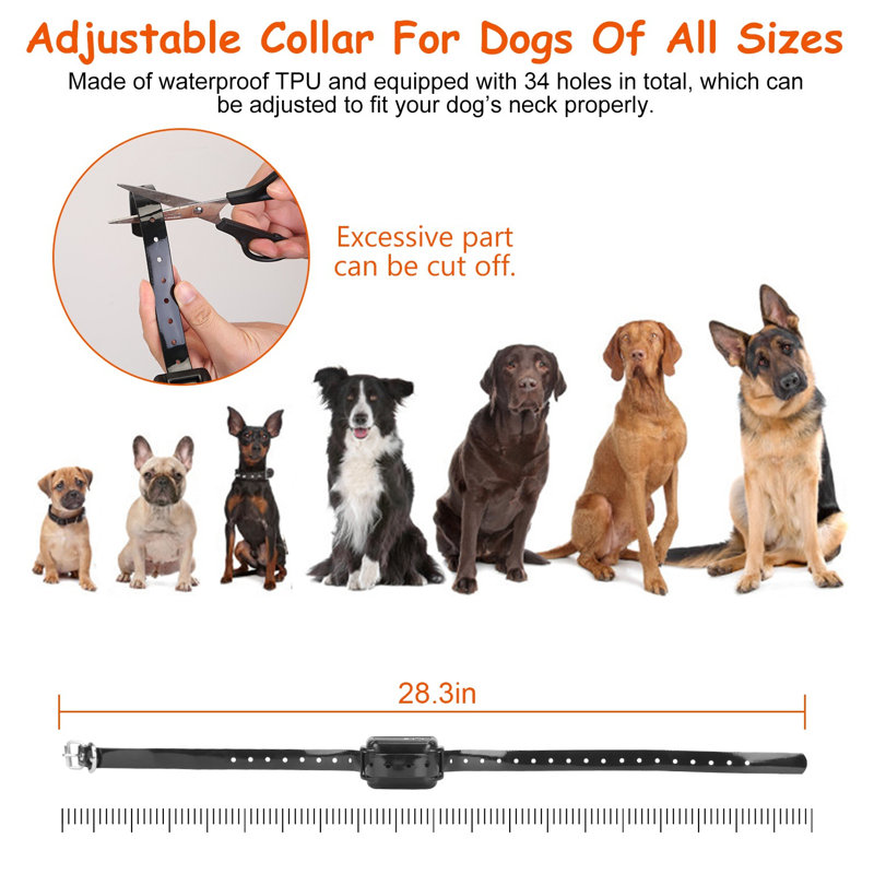 Collier de dressage pour chien électrique
