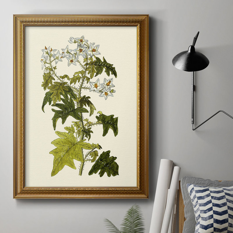 Toile encadrée de qualité supérieure Olive Greenery VI - prête à être accrochée, L 16 po x H 20 po