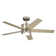 Bhram 48'' Ceiling Fan with LED Lights