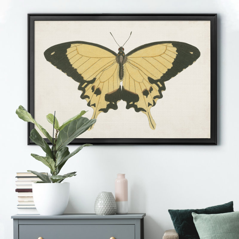 «Beautiful Butterfly I», impression sur toile encadrée, Noir, H 30,5 po x l 42,5 po x P 1,5 po