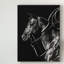 «Scratchboard Rodeo V» par Julie T. Chapman - reproduction d'art graphique sur toile-1210964018