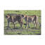 «Cheetah Couple Cheetah Troop Print», art mural-806150504