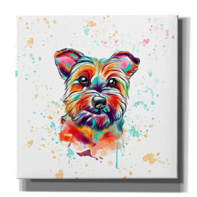 " Colourful Watercolor Cairn Terrier " by Furbaby Affiliates