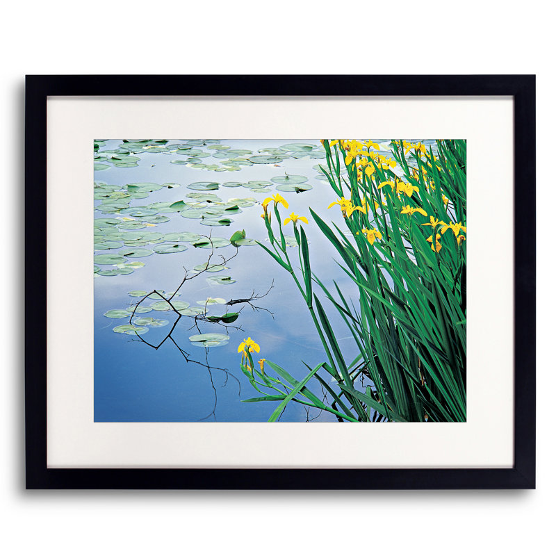 Iris And Lily Pads Design Print by Bruce Heinemann