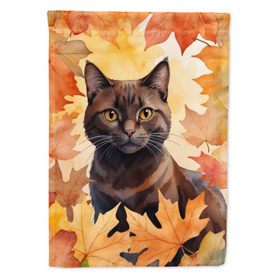 Chat en feuilles d'automne