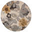 Floral Area Rug in Multicolor-1261431787