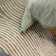 Clemones Swirl Green Area Rug