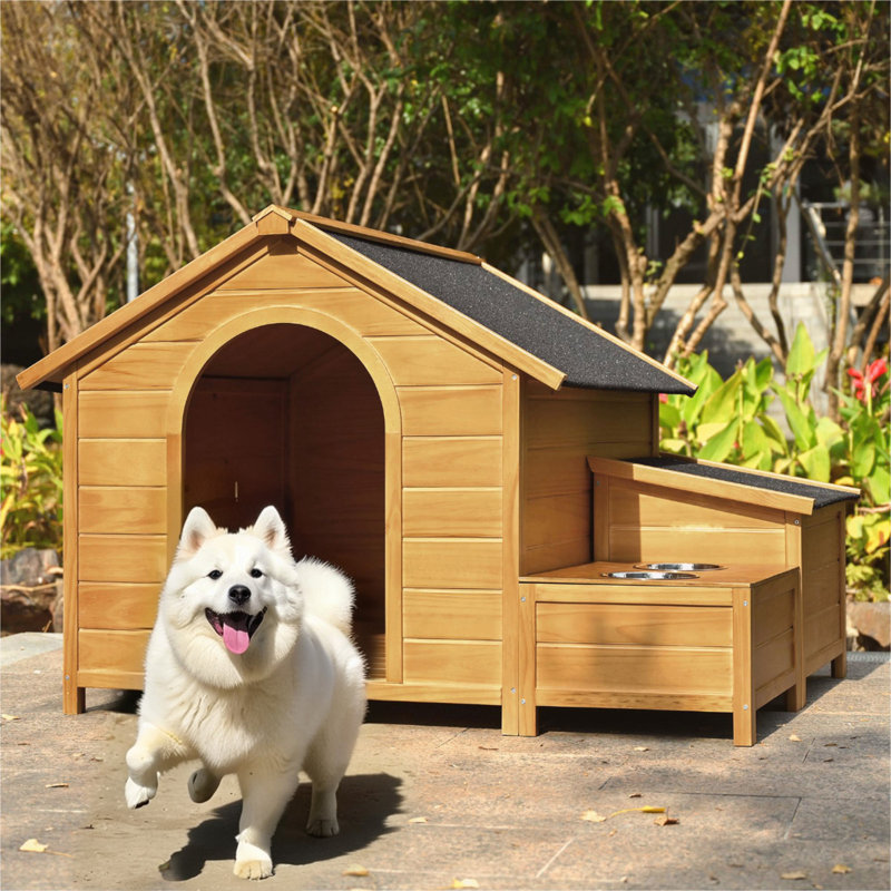 Caisse pour chien en bois avec toit en asphalte et cadre en bois massif