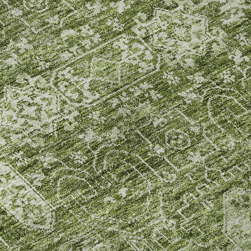 Tapis aloès Cerrito lavable à la machine de qualité supérieure, Rectangle 10 pi x 14 pi