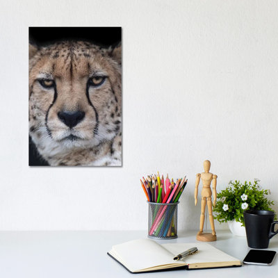 Face Of An Athlete by David Whelan - Wrapped Canvas Gallery-Wrapped Canvas Giclée