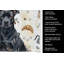 Torchon noir noir Staffordshire Terrier-1234934622