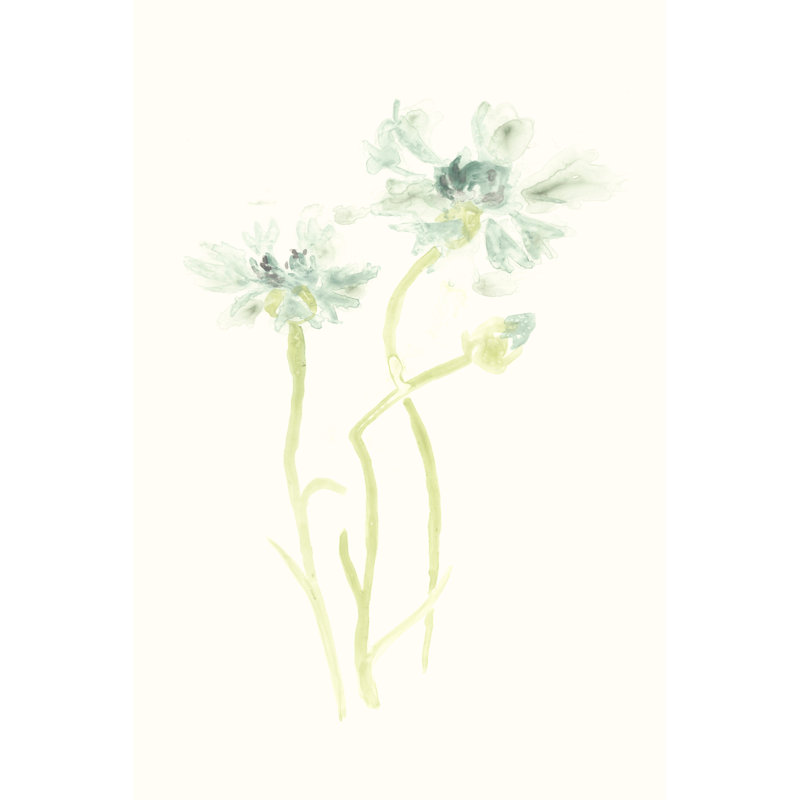Cornflower Study II - Wrapped Canvas Painting, 46cm H x 30cm W