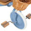 Banwood Trike Blue