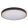 Ceiling light