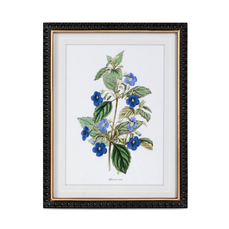 Summer Flower Framed Prints