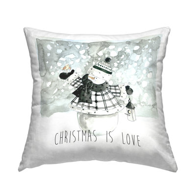 Throw Pillow