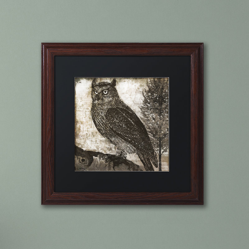 Jadaya «Owl 2» par Color Bakery, impression encadrée, Blanc, H 16 po x l 16 po x P 0,5 po, Toile avec cadre en bouleau