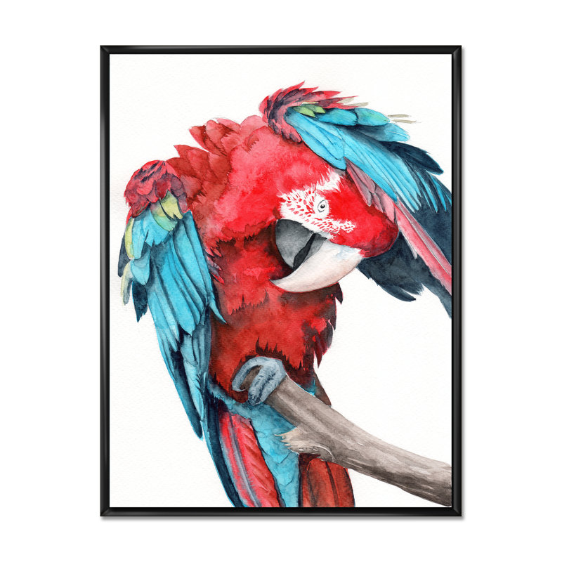 Grand perroquet avec des ailes rouges et bleues colorées - reproduction sur toile, H 32 po x l 24 po