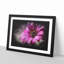 Purple Daisy - Picture Frame Graphic Art-56876066-56876060