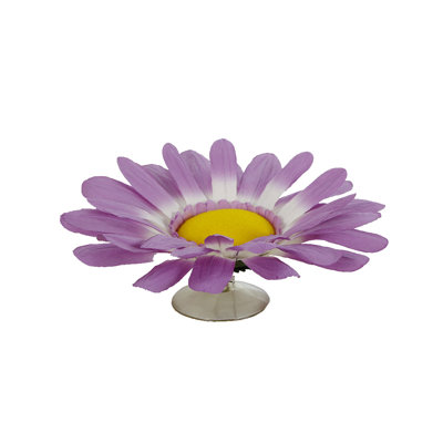 Pivoine avec ventouse