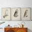 French Owls IV - Toile tendue avec châssis sur mesure - 3 pièces-1958362007-1958362004