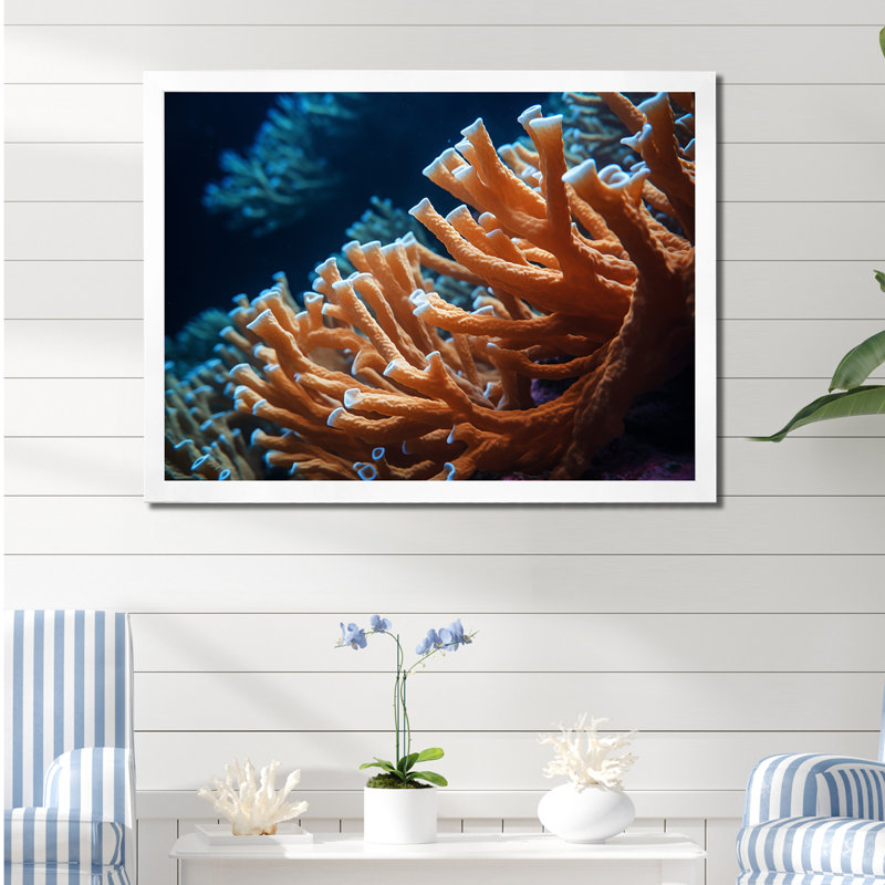 «Orange Branching Coral Reef», reproduction sur toile encadrée, H 30 po x l 40 po x P 1,5 po, Cadre simple blanc