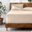 Extra Deep Microfiber Fitted Sheet-2029679318-2021283830