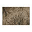 Tapis intérieur et extérieur gris Nature-496229254