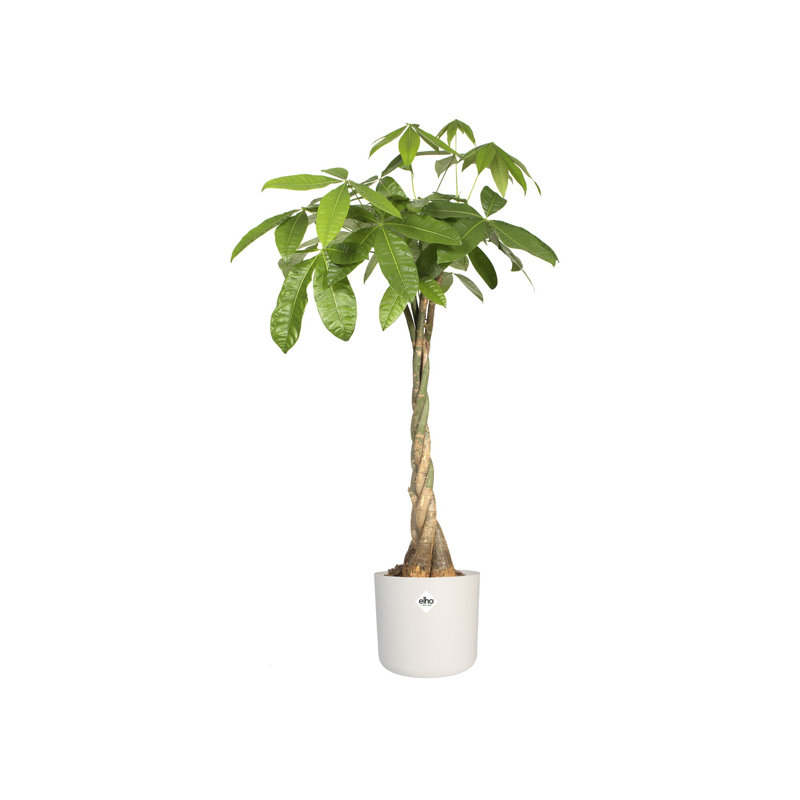 B.For Pot Planter, 23.3cm H x 24.9cm W x 24.7cm D, White