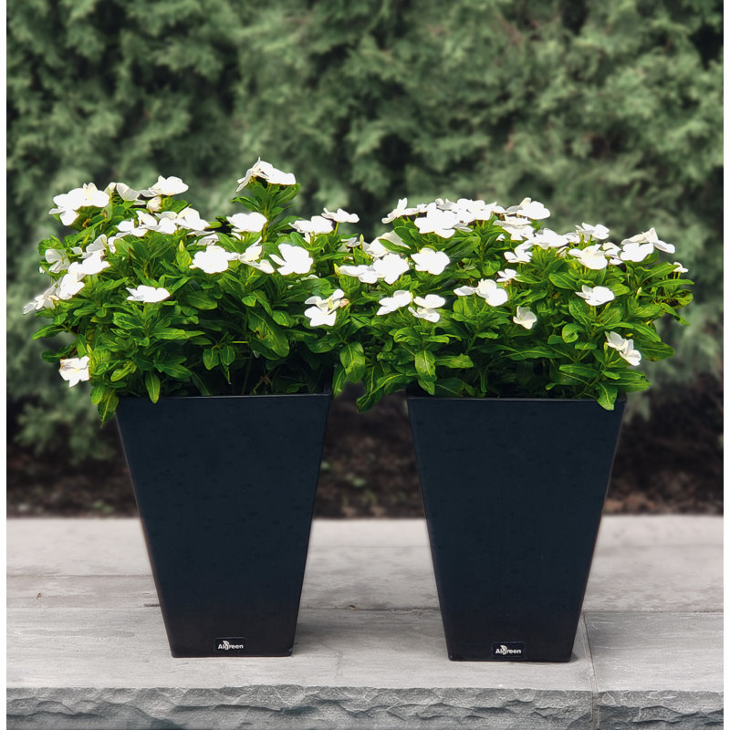 Cara Composite Pot Planter Set with Water Trays, Black