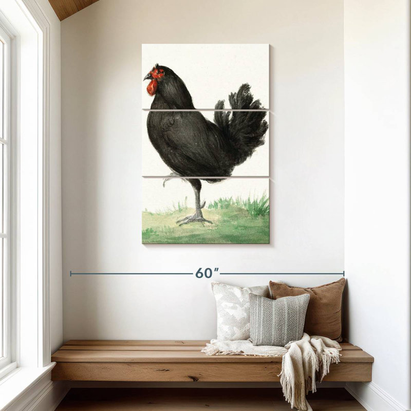 Poulet noir debout Brampt, H 45 po x l 28 po