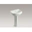 Wellworth Ceramic Pedestal Bathroom Sink with Overflow-1958769600-1903140507