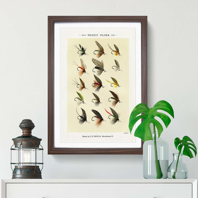 Trout Fishing Flies Version 8 by Mary Orvis Marbury - Picture Frame Painting Print