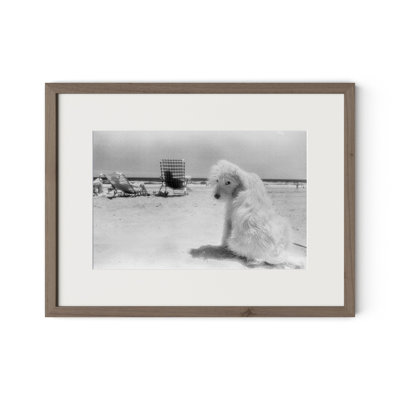 Lois At The Beach Framed Photographic Print