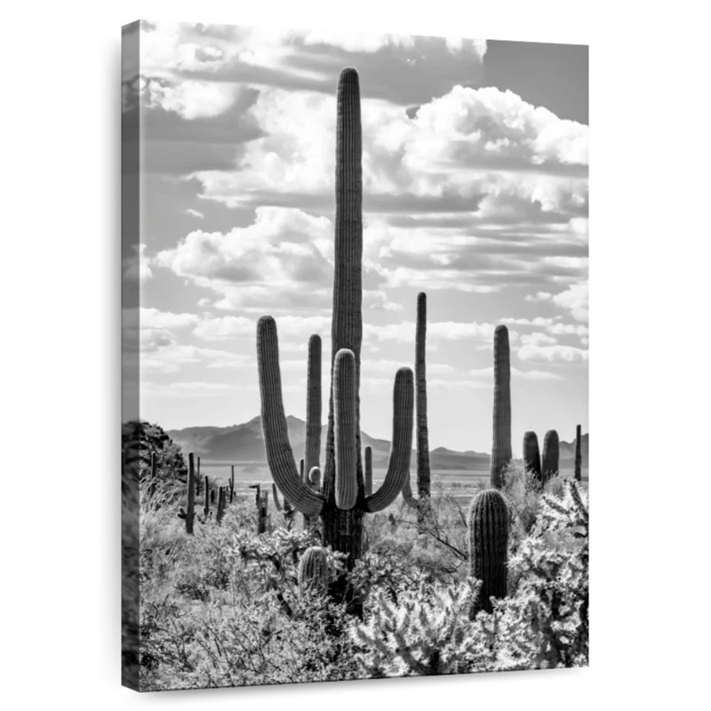 Cactus géant Saguano, H 36 po x l 24 po