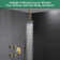  10" Ceiling Mount Shower System with Dual Mode Body Jets，2-in-1 Handheld 2.5 GPM