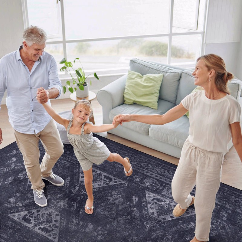 Area Rug, Washable Function Rug, Low-Pile Design, Non-Slip Function, Non-Shedding Function, Foldable Function, Kid & Pet Friendly