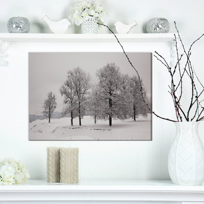 Rustic