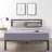 Modernista Classic 14" Metal Platform Bed-1293616810