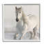 Étalon blanc au galop-847332967