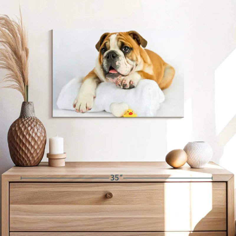 Brampt Donald I, 16" H x 24" W
