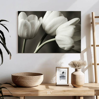 Harnek Row Of BW Tulips