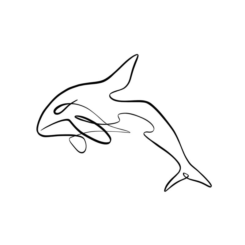 Orca Whale I by Dane Khy - Wrapped Canvas Gallery-Wrapped Canvas Giclée, 45.72 cm H x 45.72 cm W