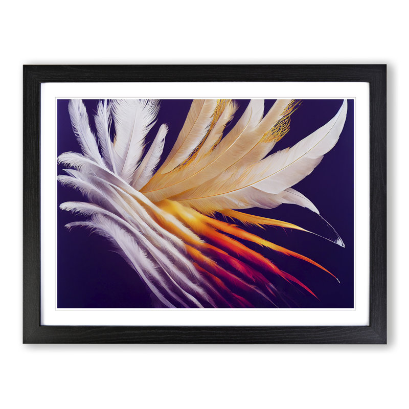 XH1022-7251X Quality Bird Feathers - Single Picture Frame Print, Black Framed, 46cm H x 64cm W x 2cm D